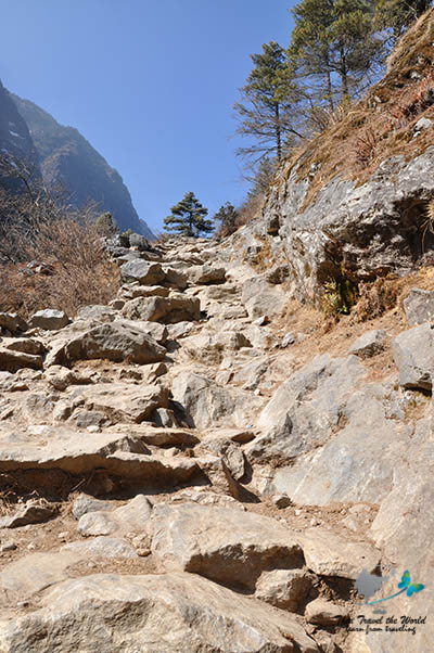 align=